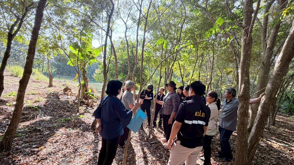 title - ส.ป.ก.อ่างทอง จัดอบรมโครงการยกระดับศักยภาพการพัฒนาสินค้าเกษตรชีวภาพ กิจกรรมยกระดับศักยภาพการเกษตรชีวภาพ ปีงบประมาณ พ.ศ. 2569 หลักสูตร “การเพิ่มประสิทธิภาพการผลิตพืชสมุนไพรในเขตปฏิรูปที่ดิน“